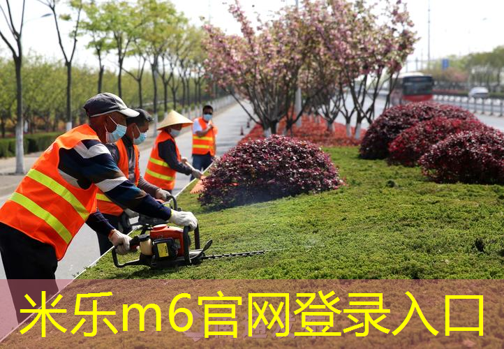 米乐m6官网：邓禄普网球拍25英寸
