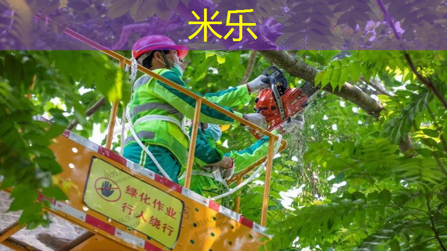 mile米乐m6官网：乒乓球台的上下多宽