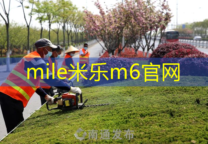乒乓球台高度一般多少