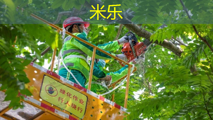 mile·米乐m6：乒乓球台产品有哪些