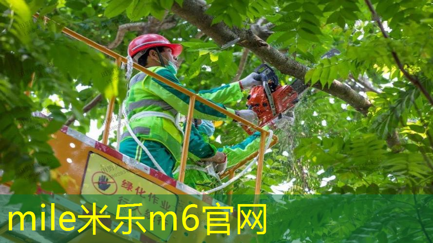 mile米乐m6官网：乒乓球台修复技巧