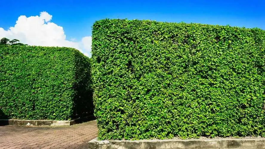 初学耐打网球拍有哪些型号