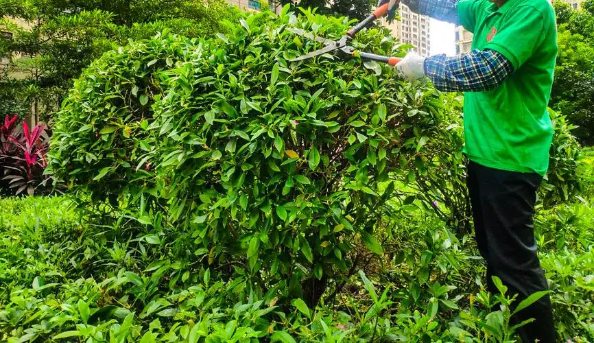 网球拍初阶与进阶的区别
