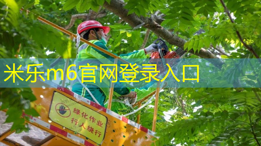 如何挑选比较专业的网球拍
