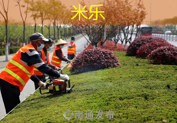 邓禄普网球拍25英寸