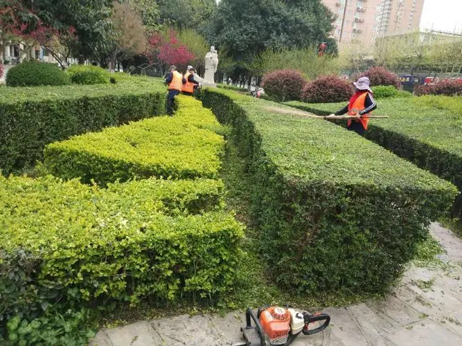 400米塑胶跑道长什么样