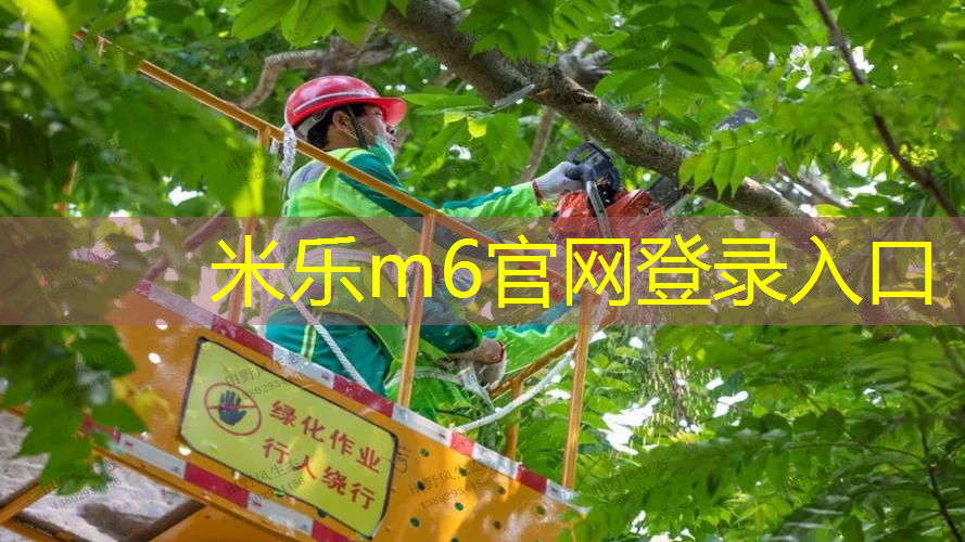 乒乓球台的上下多宽
