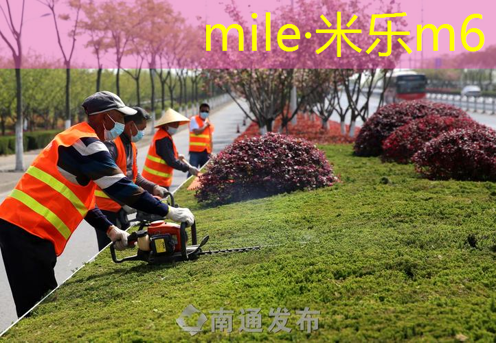 乒乓球台高度一般多少