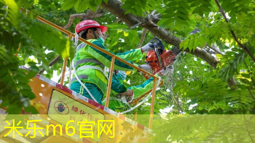 乒乓球台产品有哪些